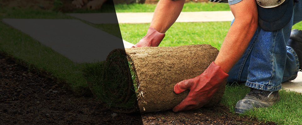 Glen Rose Landscapers